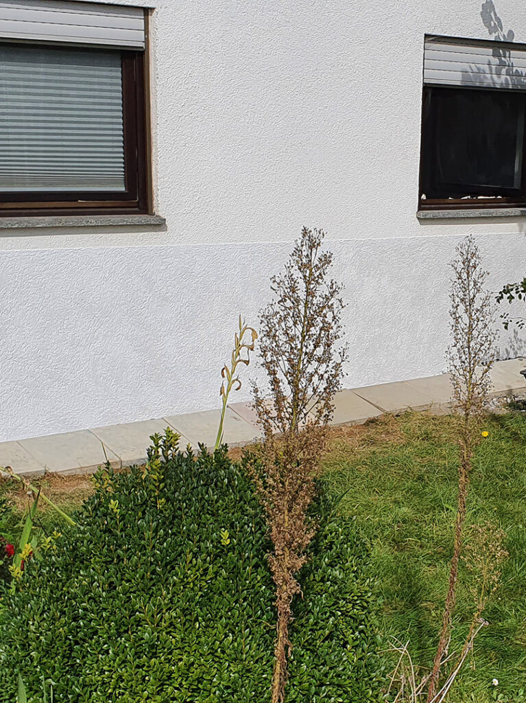 kewabo® gmbh bodensee referenzen